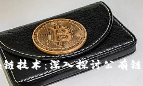 虚拟币与区块链技术：深入探讨公有链的魅力与挑战